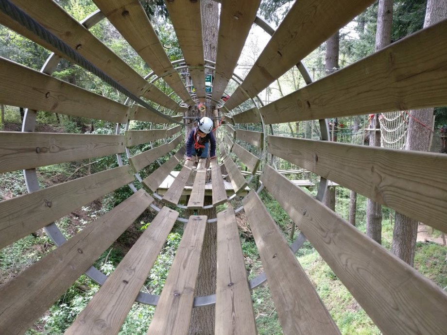 La Selva de l'Aventura - Foto 2