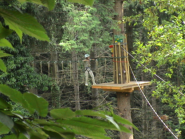 La Selva de l'Aventura - Foto 3