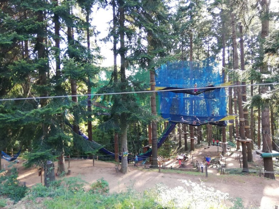 La Selva de l'Aventura - Foto 4