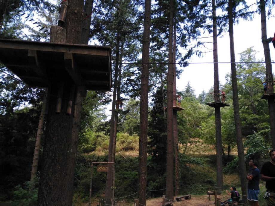 La Selva de l'Aventura - Foto 5