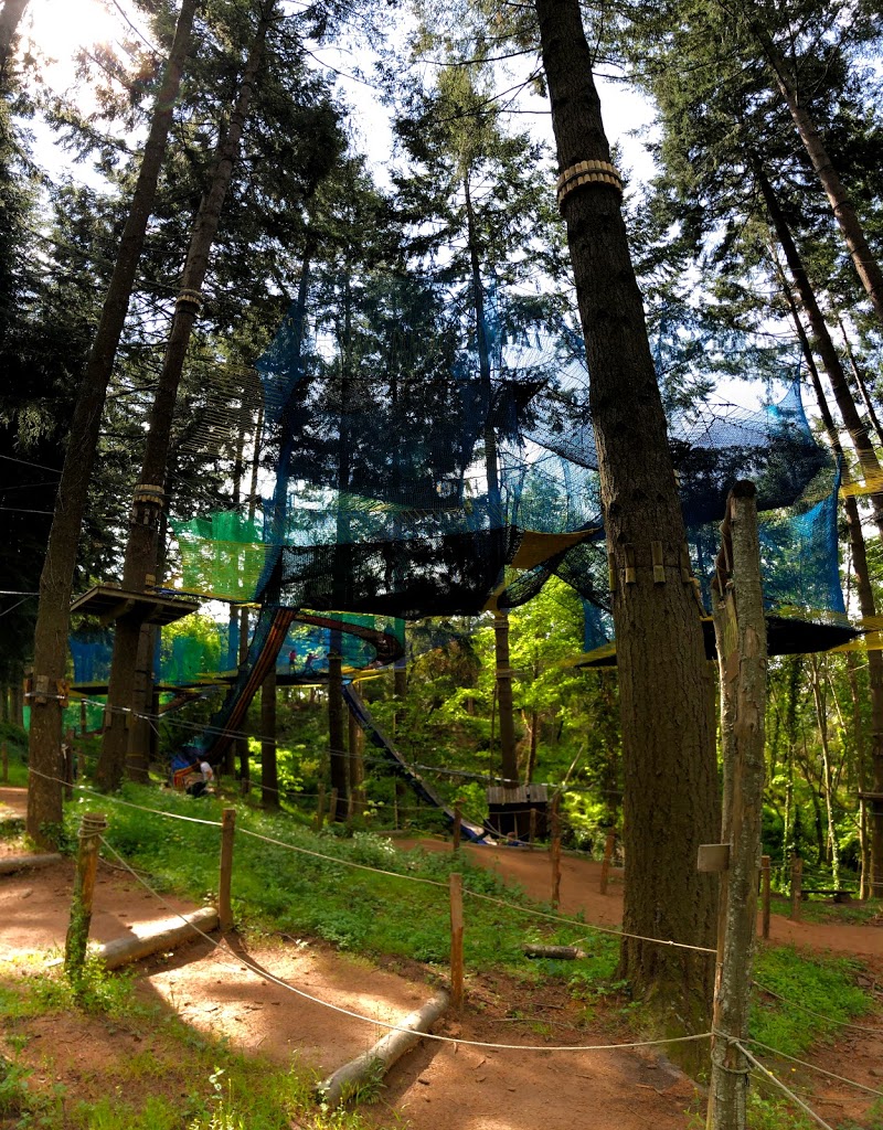 La Selva de l'Aventura - Foto 6