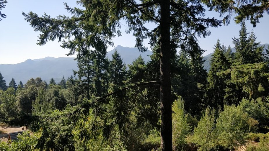 La Selva de l'Aventura - Foto 7