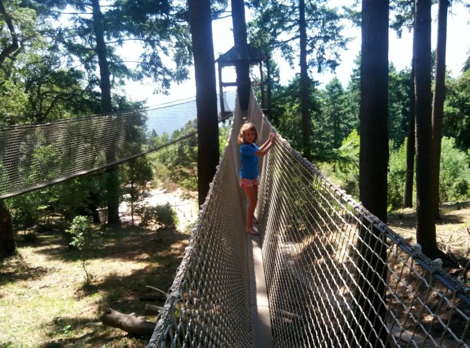 La Selva de l'Aventura - Foto 9