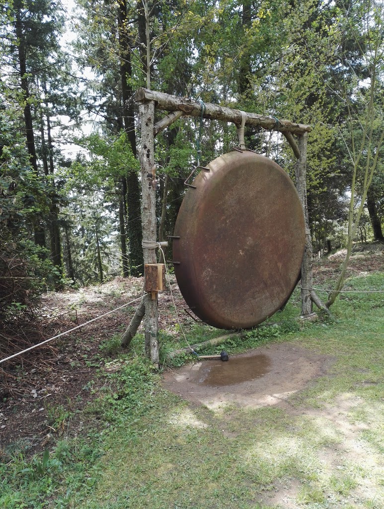 La Selva de l'Aventura - Foto 10