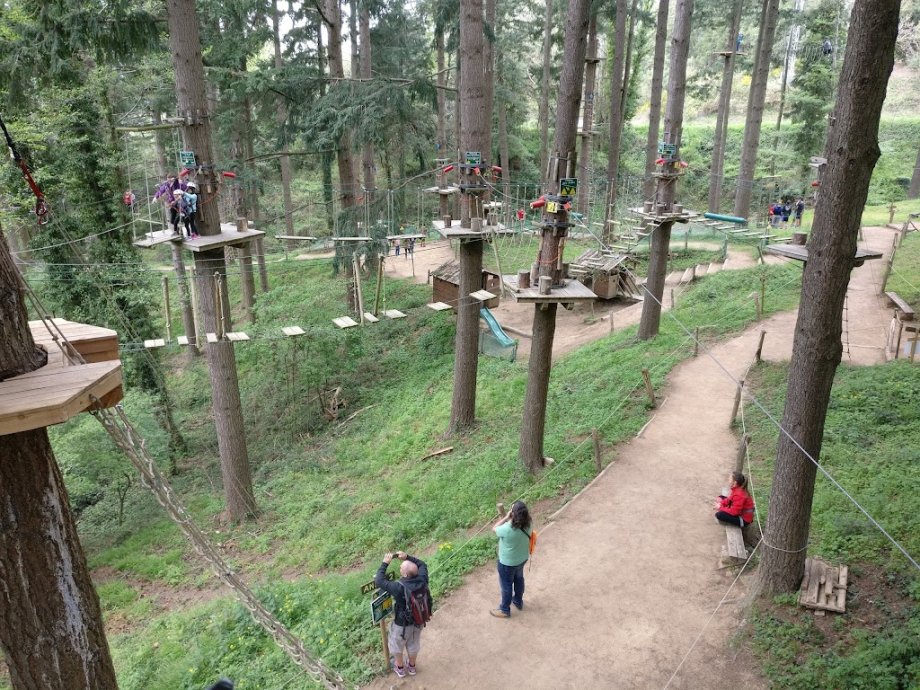 La Selva de l'Aventura - Foto 11