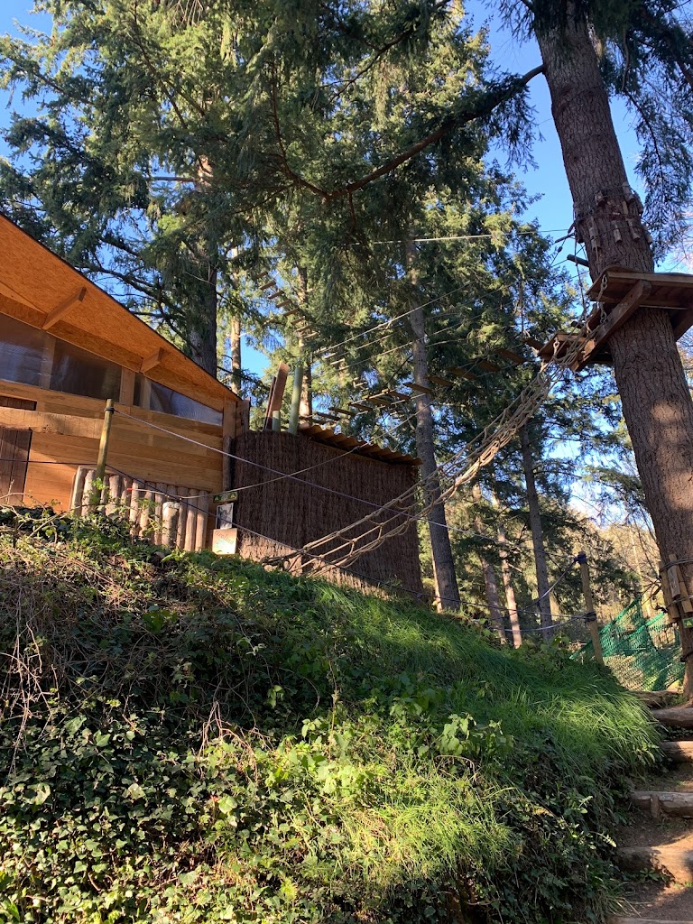 La Selva de l'Aventura - Foto 13