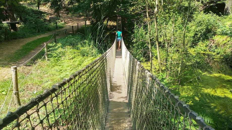 La Selva de l'Aventura - Foto 14