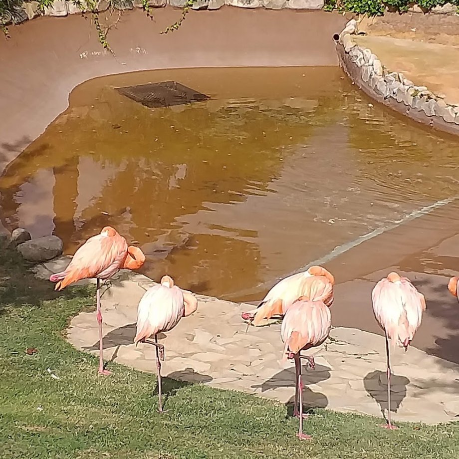 Marineland Cataluña - Foto 9