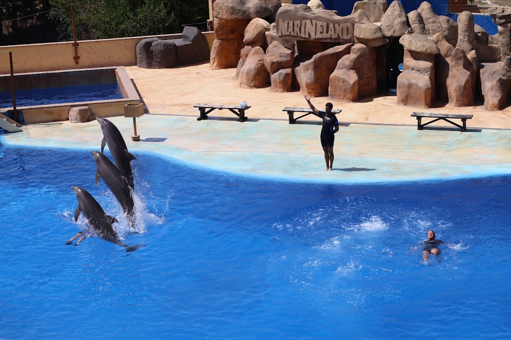 Marineland Cataluña - Foto 1