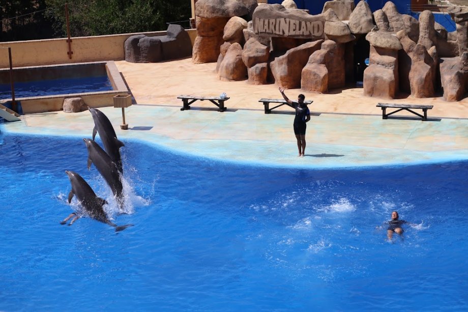 Marineland Cataluña - Foto 12