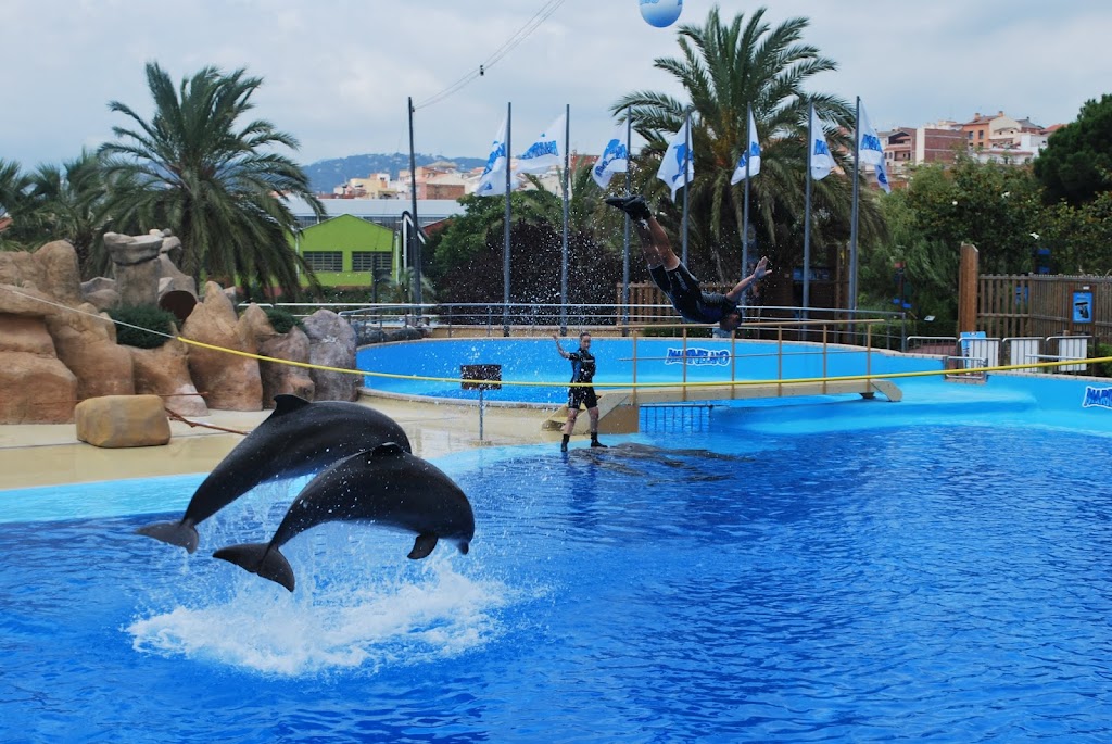 Marineland Cataluña - Foto 1