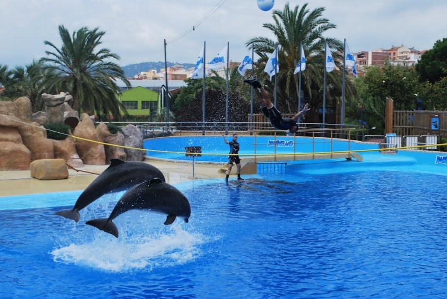 Marineland Cataluña - Foto 13