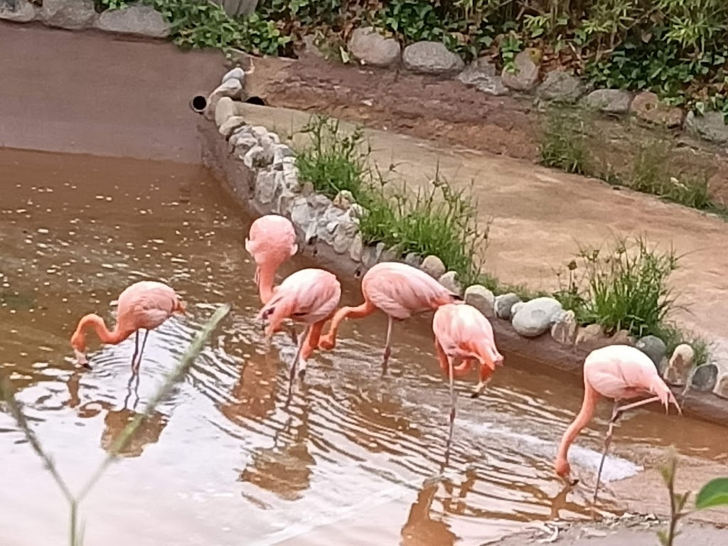 Marineland Cataluña - Foto 1