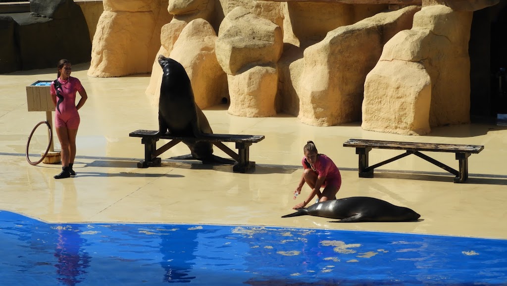 Marineland Cataluña 7