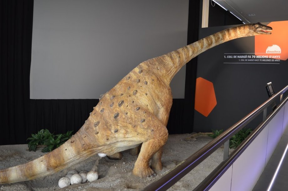 Dinosfera - Foto 4
