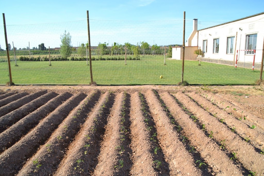 Espai Cal Fino - Foto 1