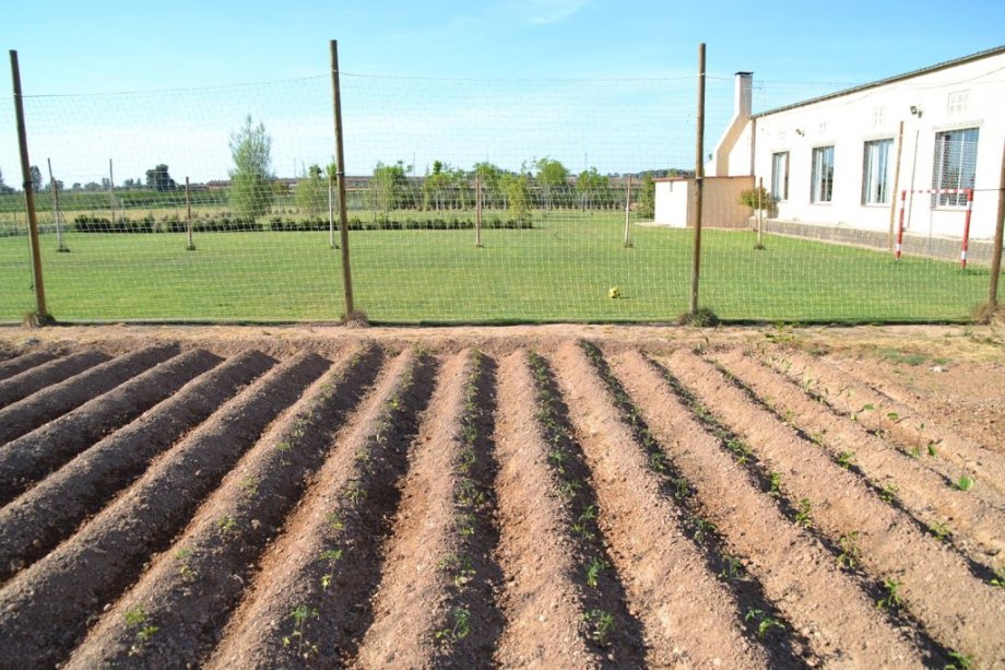 Espai Cal Fino - Foto 5