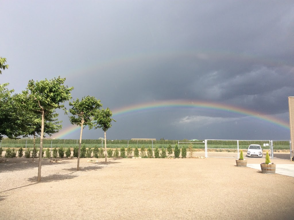 Espai Cal Fino - Foto 1