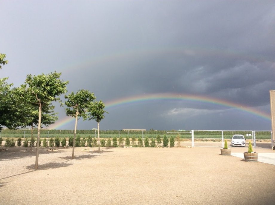 Espai Cal Fino - Foto 6