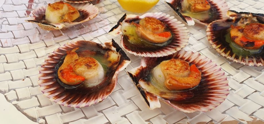 Ardora Tapería Rural - Foto 12