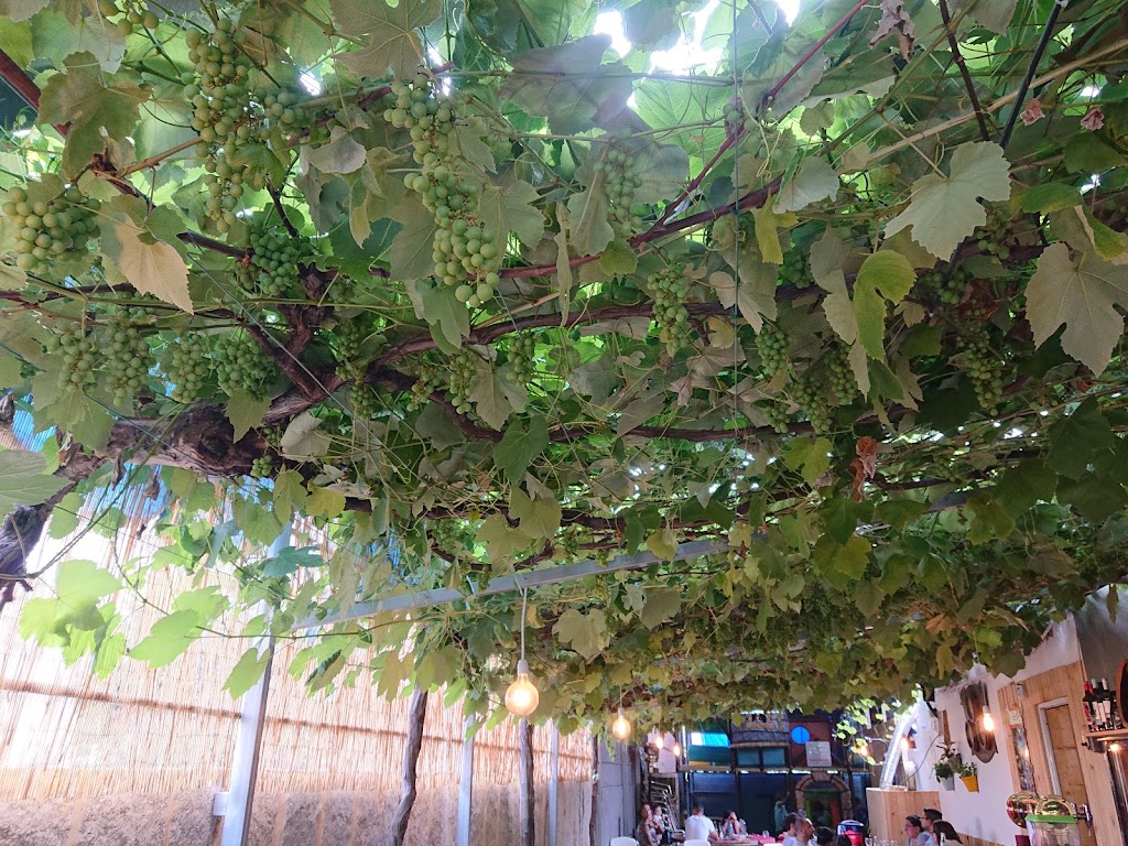 Restaurante Remy - Foto 1