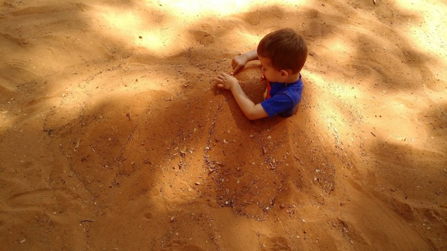 Tom Leite Park - Foto 6