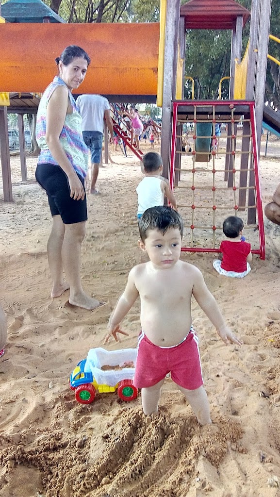 Tom Leite Park - Foto 13