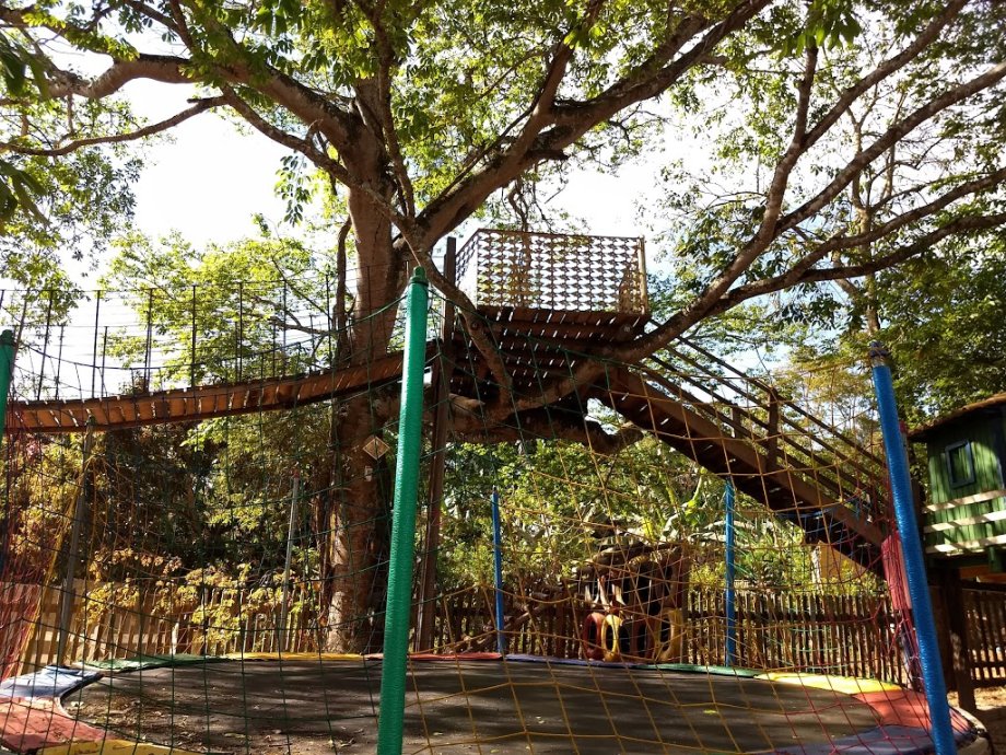 Restaurante Sabor Rural - Foto 6