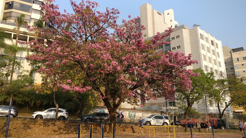 Juscelino Kubitschek Municipal Park - Foto 1