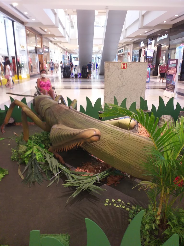 Teresina Shopping - Foto 12