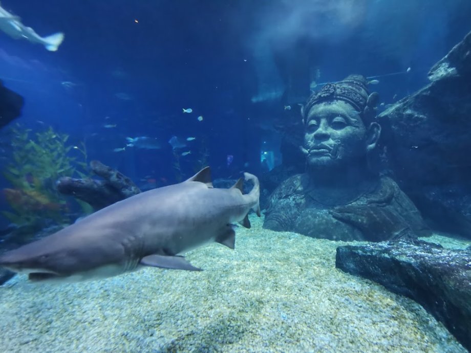 Sea Life Bangkok Ocean World - Foto 15