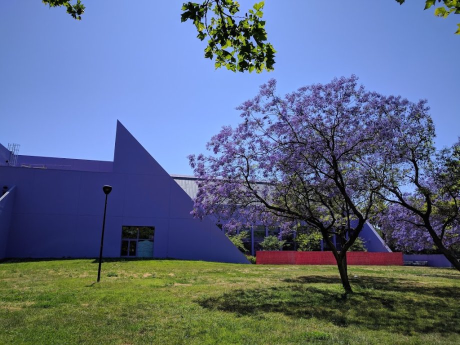 Children's Discovery Museum of San Jose - Foto 3