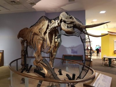 Children's Discovery Museum of San Jose