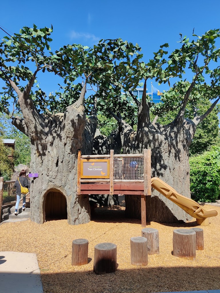 Children's Discovery Museum of San Jose - Foto 12