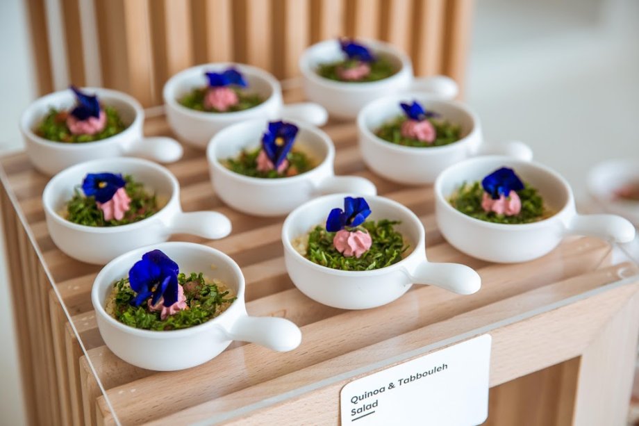 White and the Bear - Foto 9