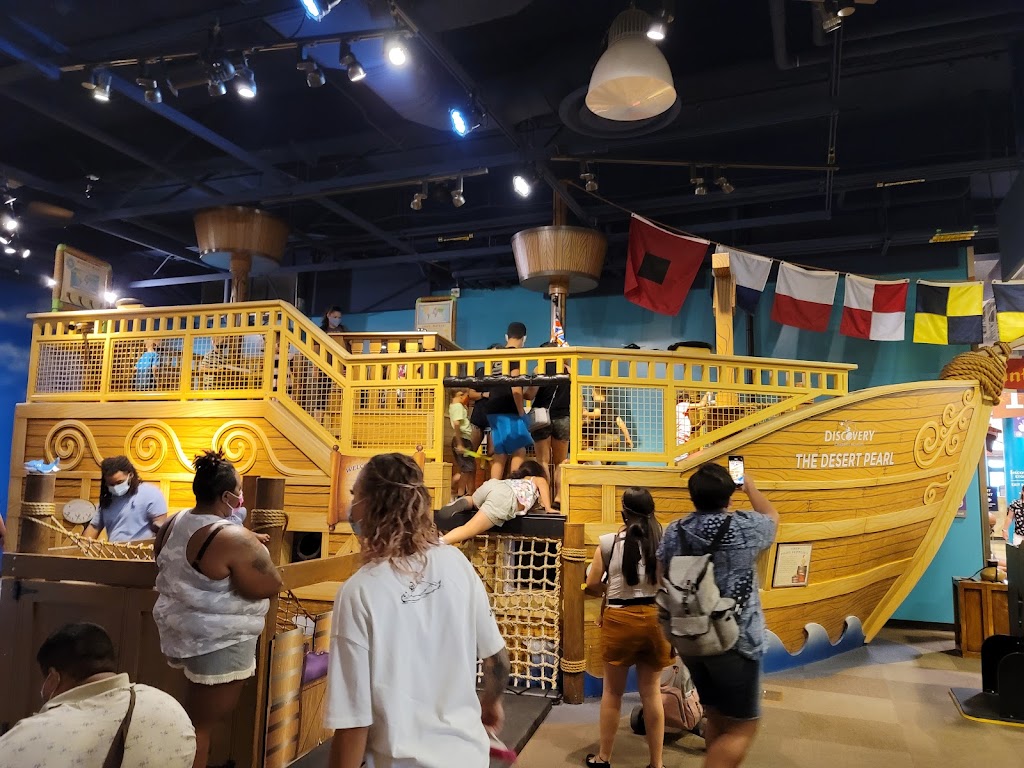 Discovery Children's Museum - Foto 1