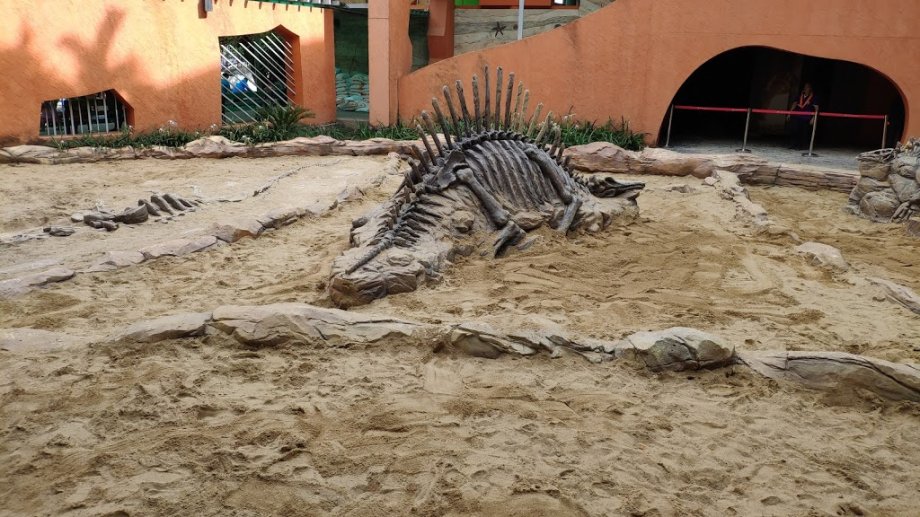 Children’s Discovery Museum - Foto 5