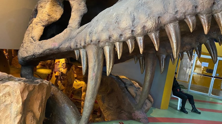 Children’s Discovery Museum - Foto 6