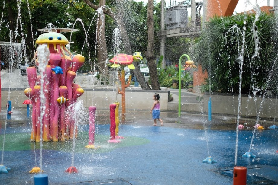 Children’s Discovery Museum - Foto 14