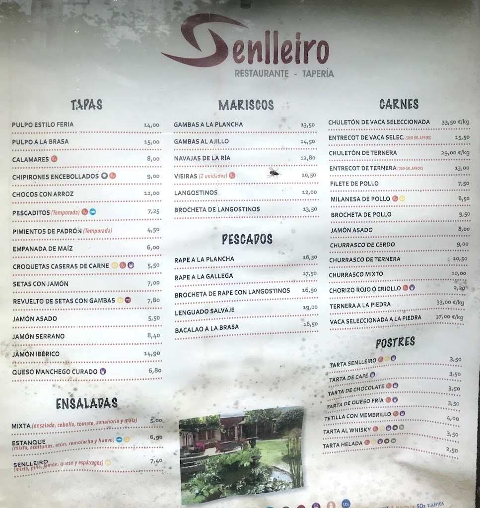 Restaurante Senlleiro - Foto 1