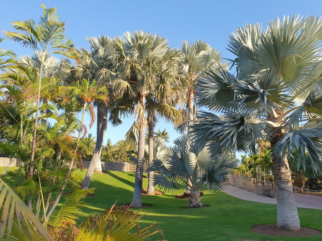Palmetum - Foto 1