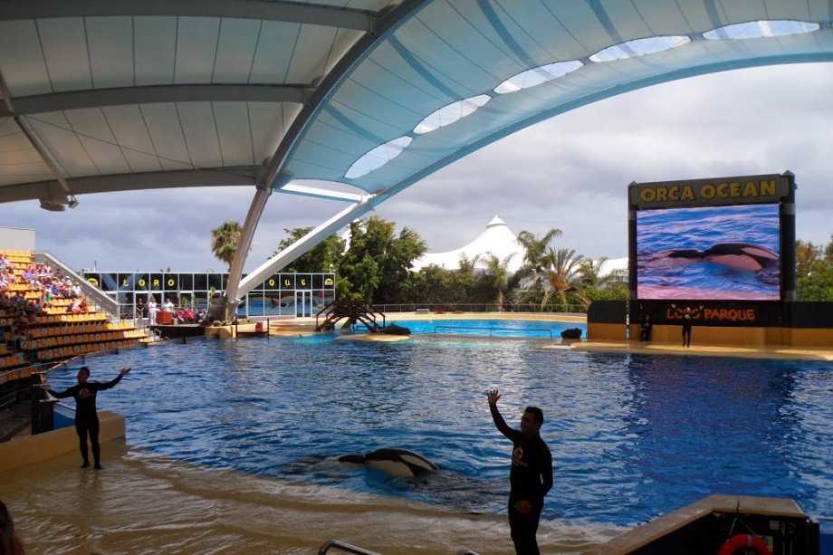 Loro Parque - Foto 4
