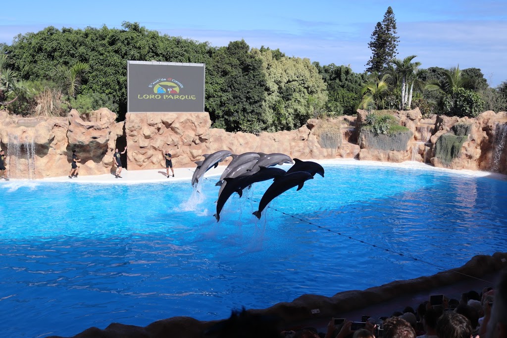 Loro Parque - Foto 1