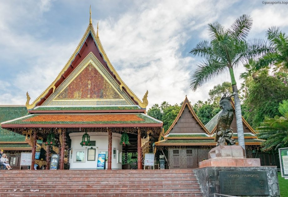 Loro Parque - Foto 10