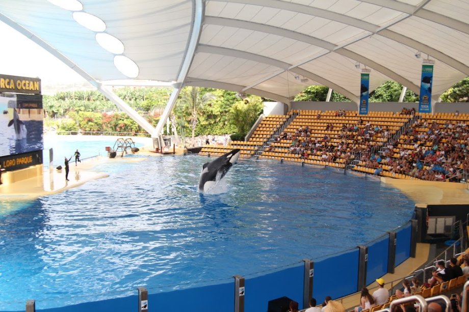 Loro Parque - Foto 12
