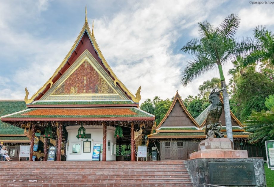 Loro Parque - Foto 21