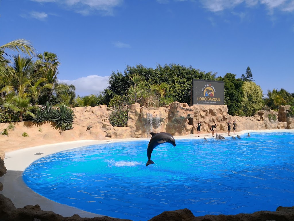 Loro Parque - Foto 1
