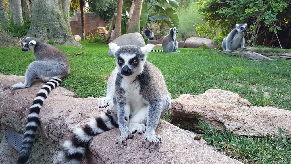 Bioparc Fuengirola - Foto 1