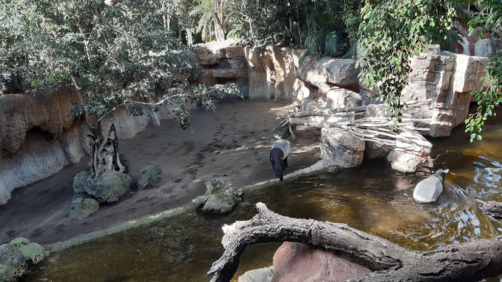 Bioparc Fuengirola - Foto 1