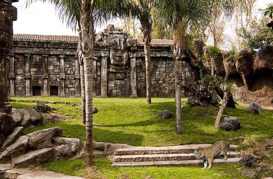 Bioparc Fuengirola - Foto 1